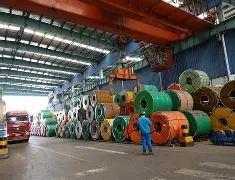 AYX SPORTS-今晚辽宁本钢调整名单以备荷甲，队长鼓劲环节打磨，媒体盛赞，临场指挥获称赞的简单介绍